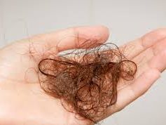 Can an Oily Scalp Cause Hair Loss